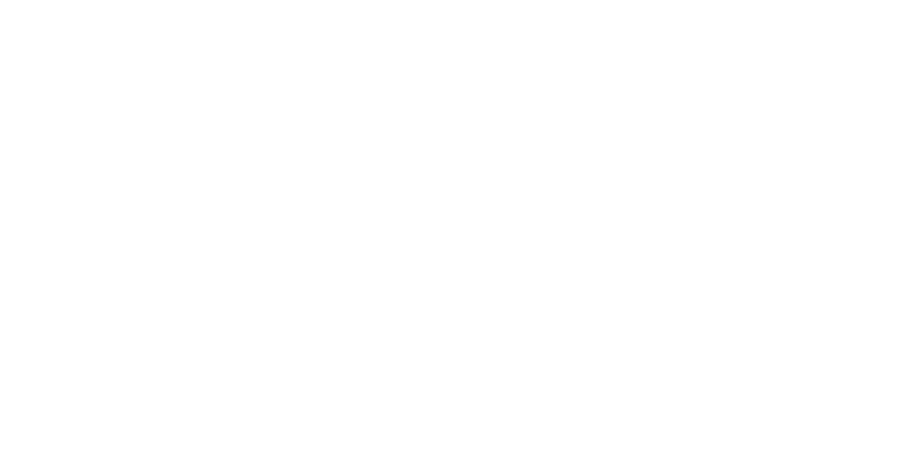 LOGO EL CHIRINGO