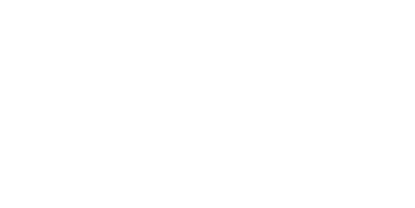 LOGO RAFFI INTIMATES